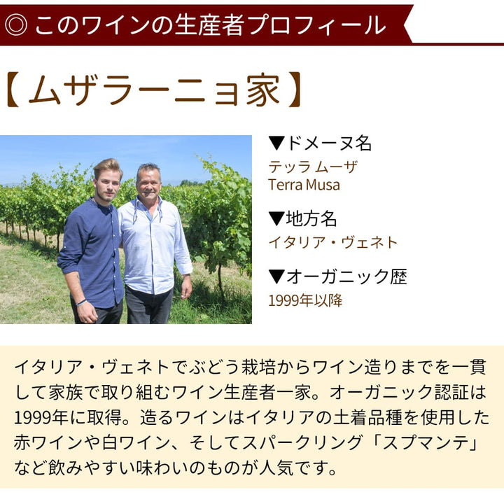 Sauvignon Blanc White (Terra Musa)