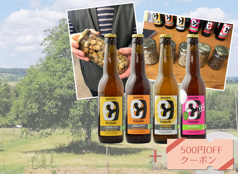 ワイン屋が選ぶクラフトビール お得な4本セット