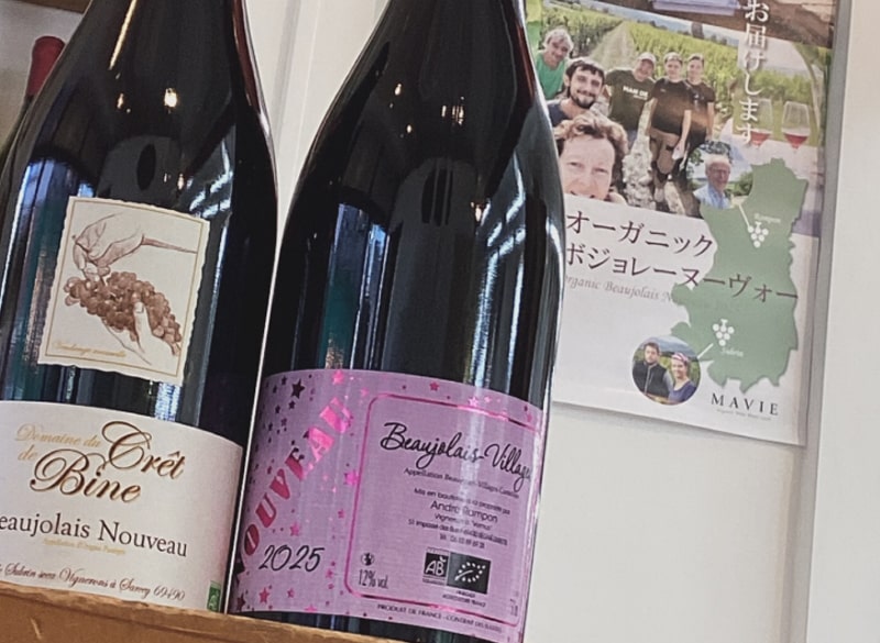 日仏専門家のテイスティングコメント公開｜いよいよ解禁！ボジョレーヌーヴォー2025年