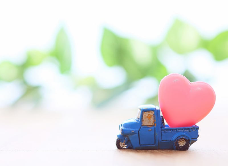 送料無料ワインセット