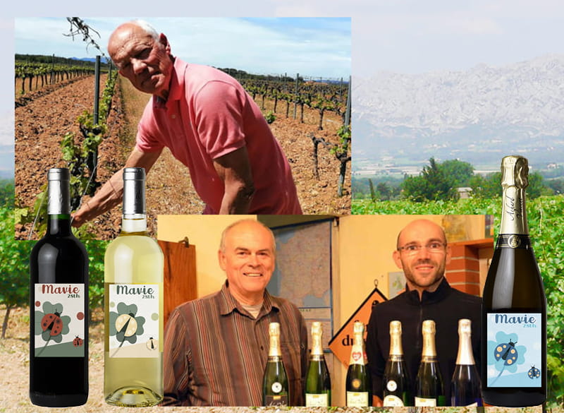 マヴィ創立28周年オリジナルワインご予約スタート