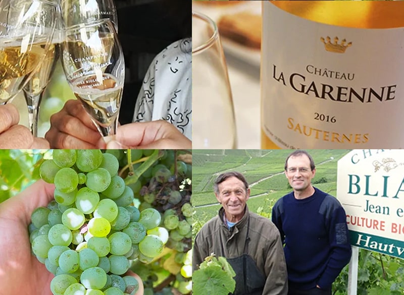 12月のスタッフ推しワイン