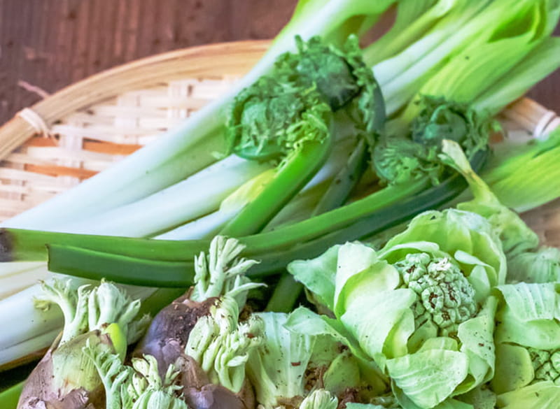 春の味覚「山菜」と楽しむワイン