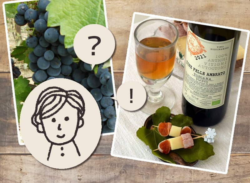 ワインの色｜オレンジワインって何ですか？