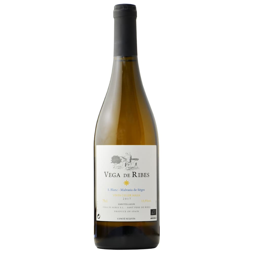 ペネデス 白｜スペインのソーヴィニヨン・ブラン