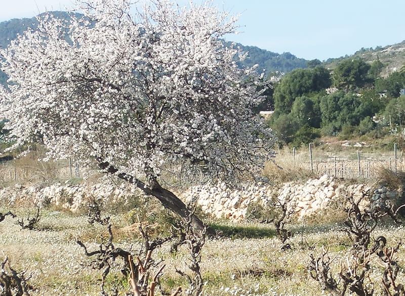 マヴィ創立28周年に思う｜中近東戦争でスエズ運河～紅海の航路が通れず