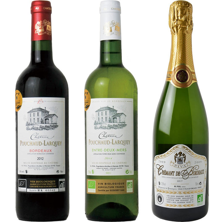 A 3-piece tasting set to fully enjoy Bordeaux