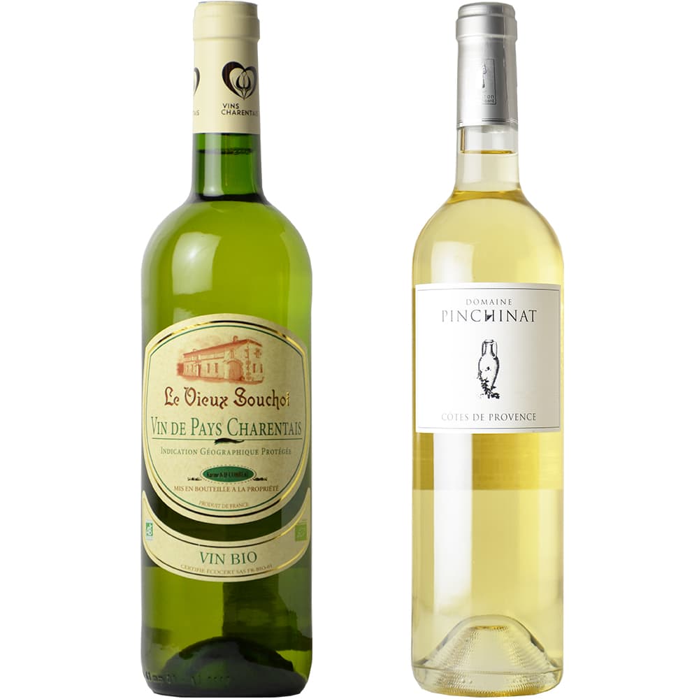 Recommended wine set for pairing with seafood carpaccio