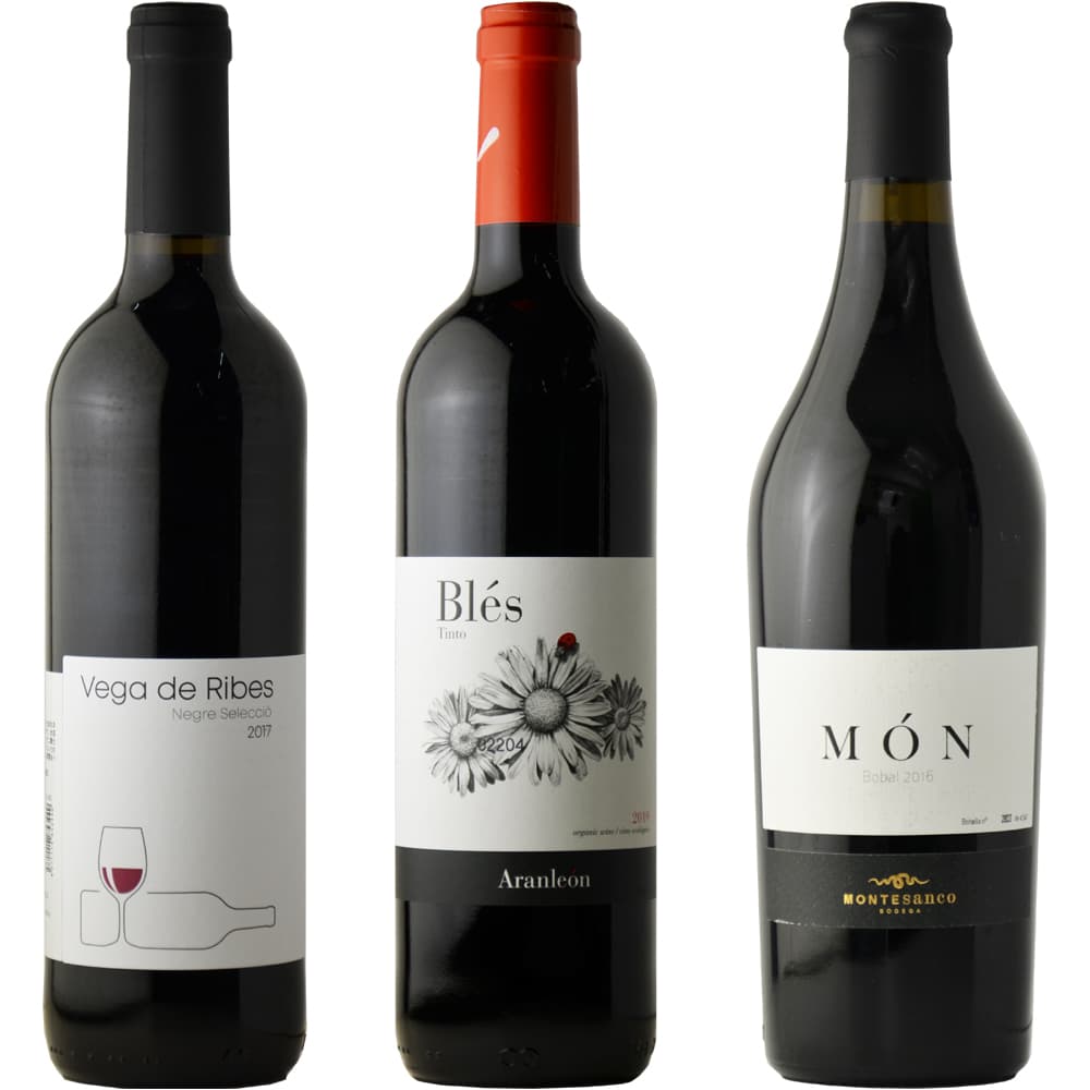 A selection of carefully selected Spanish red wines for comparison