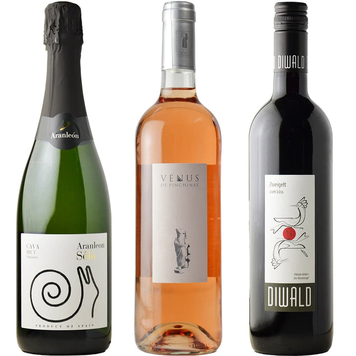 Recommended wine set for pairing with kimchi hotpot