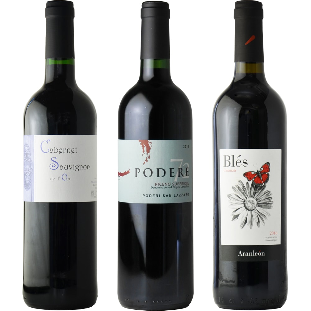 [Recommended wines for drinking at home] Home drinking red wine set