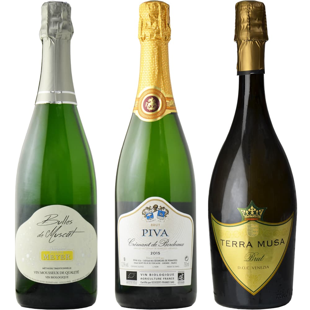 [Free Shipping] Sparkling Wine Enjoyment Set