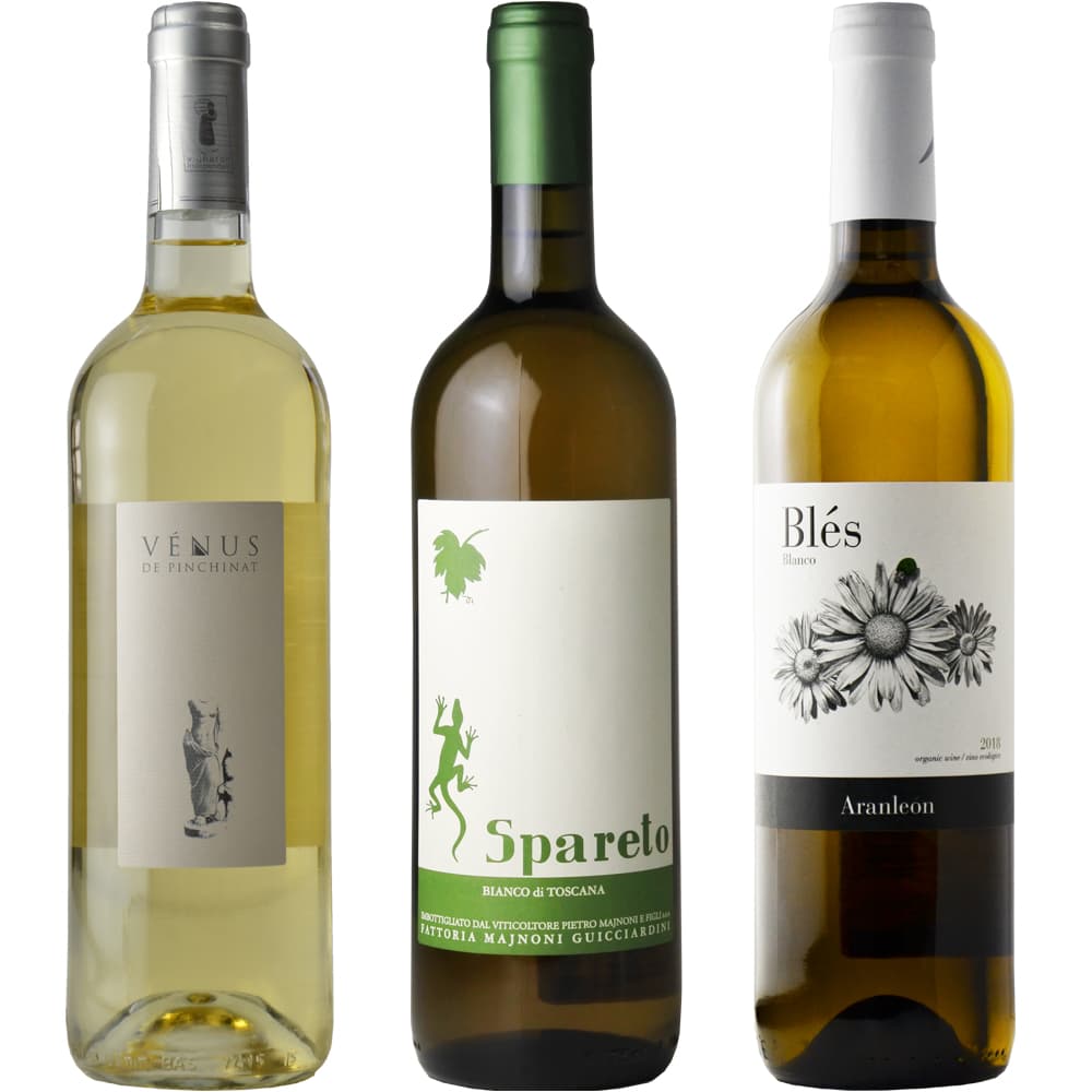 [Early Summer Special Set] White wine set to go with light dishes