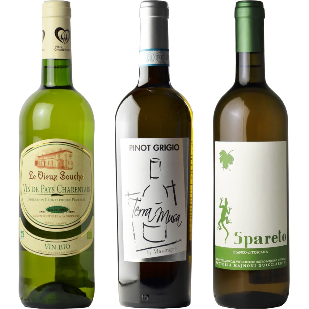 [Summer Special Set] White wine set that goes well with summer Italian food