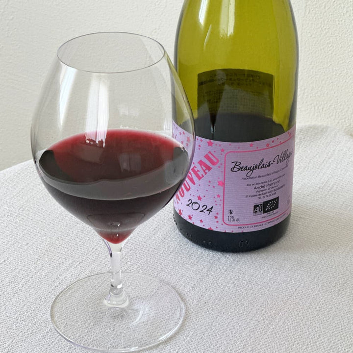 [Beaujolais 2023] Beaujolais Villages Nouveau 2023 Red