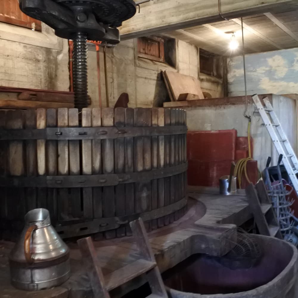 ボジョレーヴィラージュヌーヴォー 2025 赤