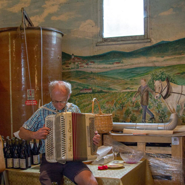 ボジョレーヴィラージュヌーヴォー 2025 赤