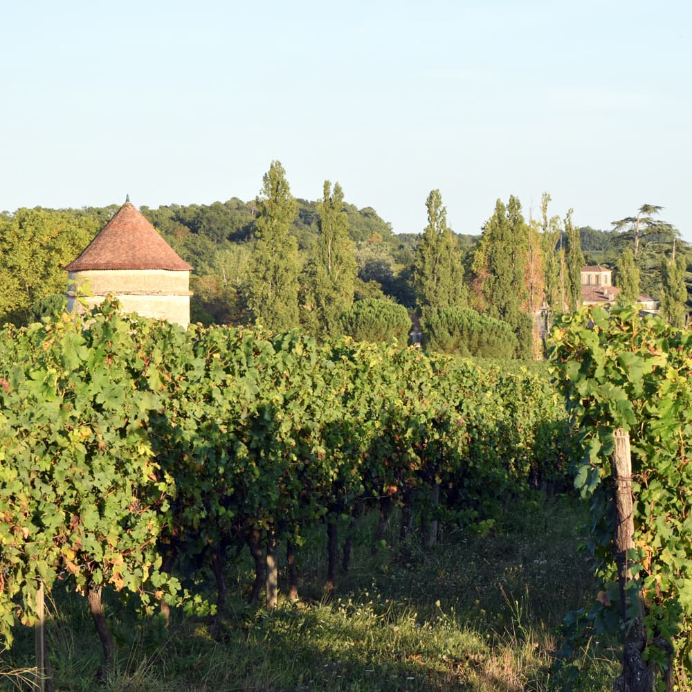 ボルドー 干支ワイン（午） 赤