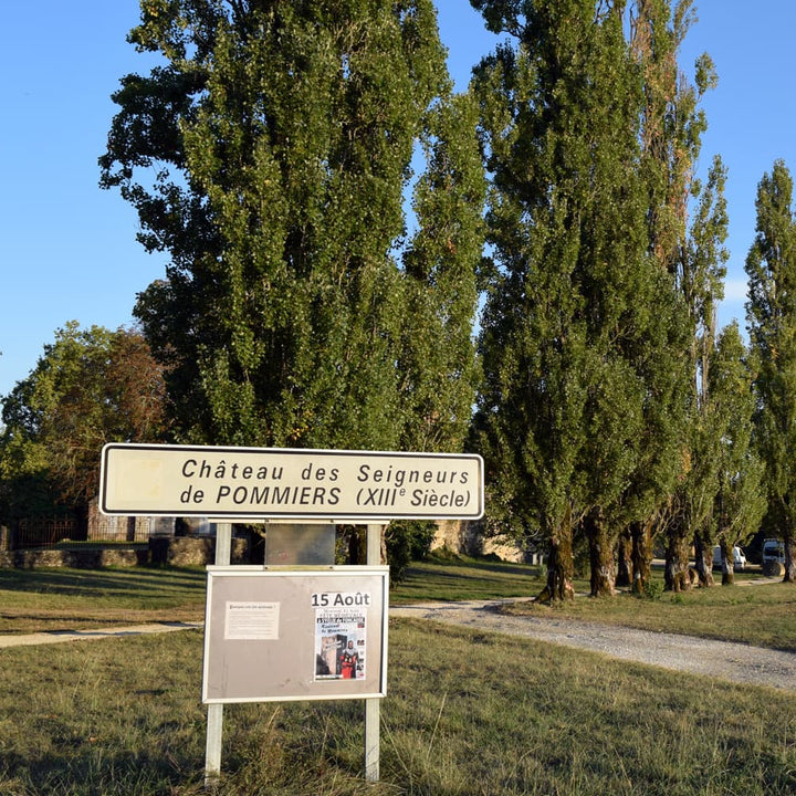 ボルドー（アントル ドゥー メール） 干支ワイン（午） 白