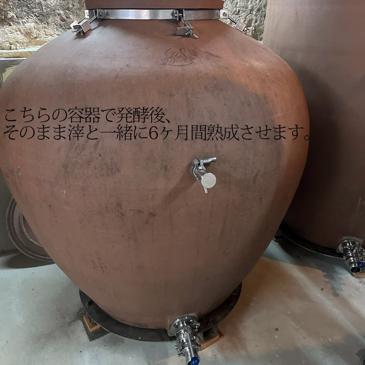 ブランドフォリー シュナン ブラン 白