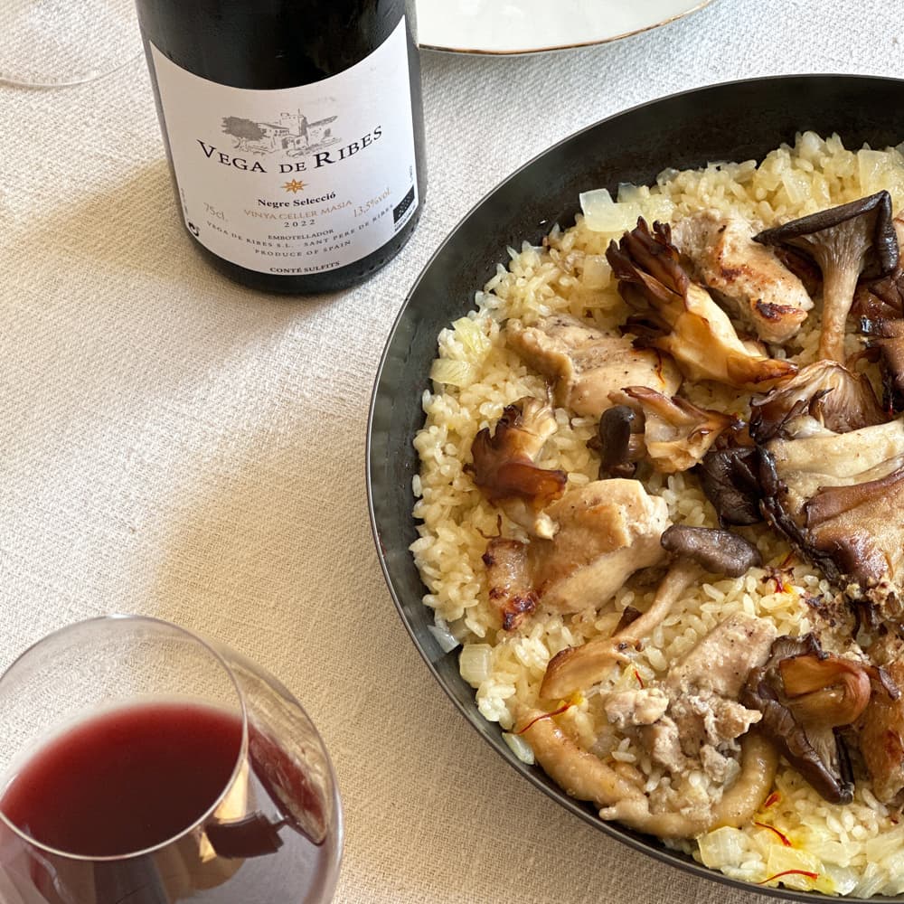 ペネデス 赤 スペイン(カタルーニャ地方) オーガニックワイン