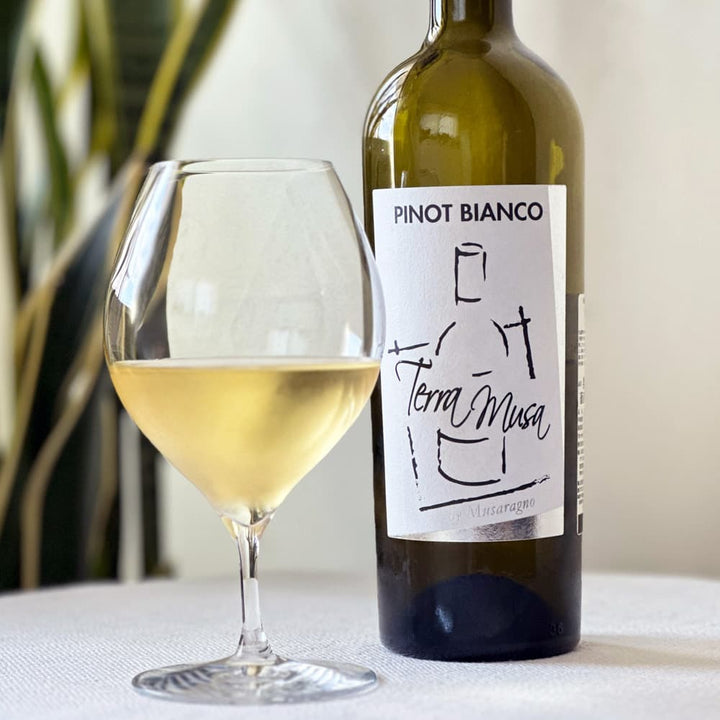 ピノビアンコ 白