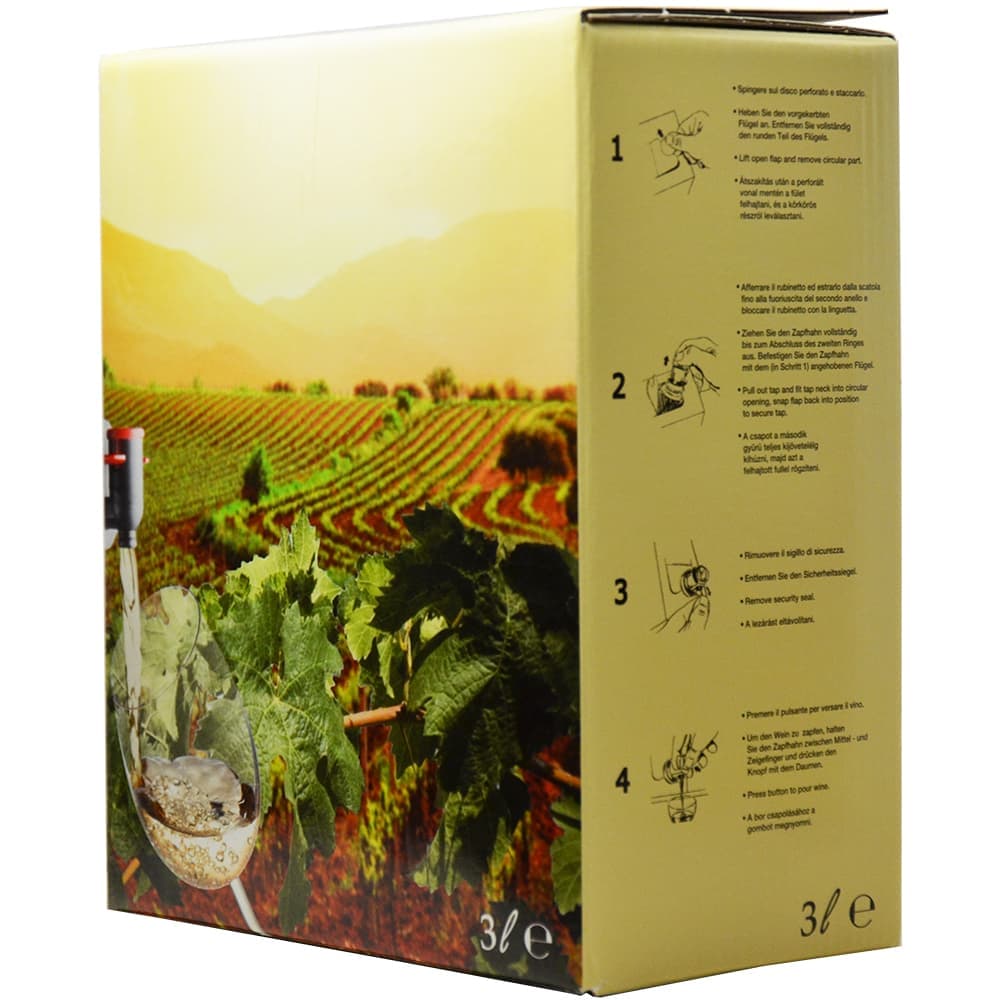 Chardonnay White 3L (Box Wine / Box Wine) - Terra Musa