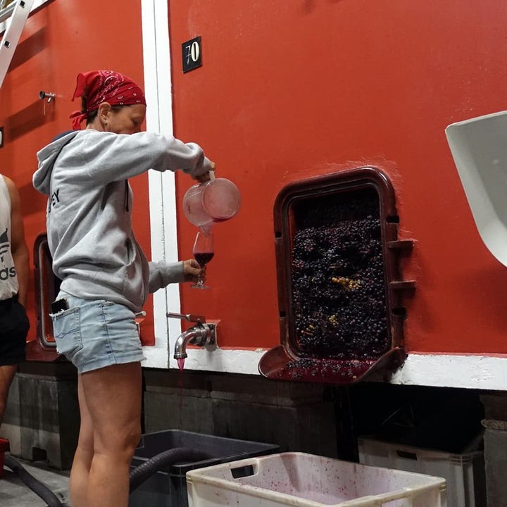 ボジョレーヌーヴォー2025 赤