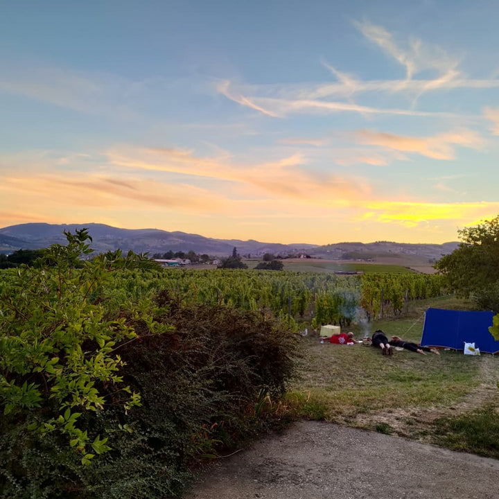 ボジョレーヌーヴォー2025 赤