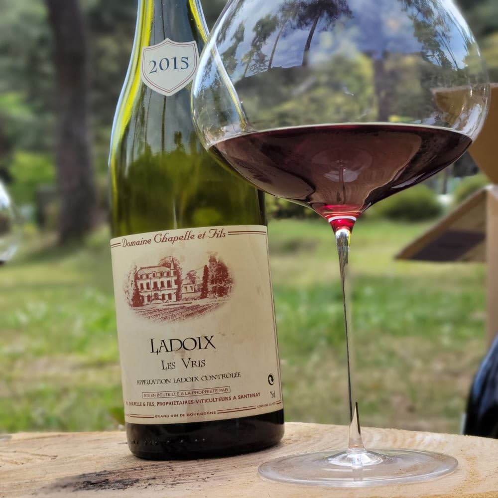 ラドワ レヴリ 赤 フランス(ブルゴーニュ地方) オーガニックワイン