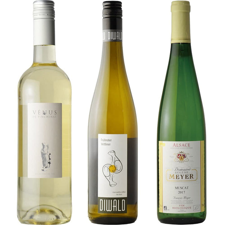 A white wine set that lets you fully enjoy the fruity flavors